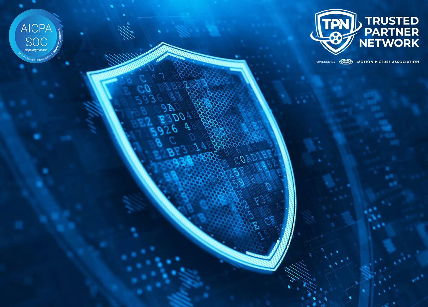 We use TLS 1.2 with the latest encryption algorithms (AES-256) to ensure the security of the data in transit